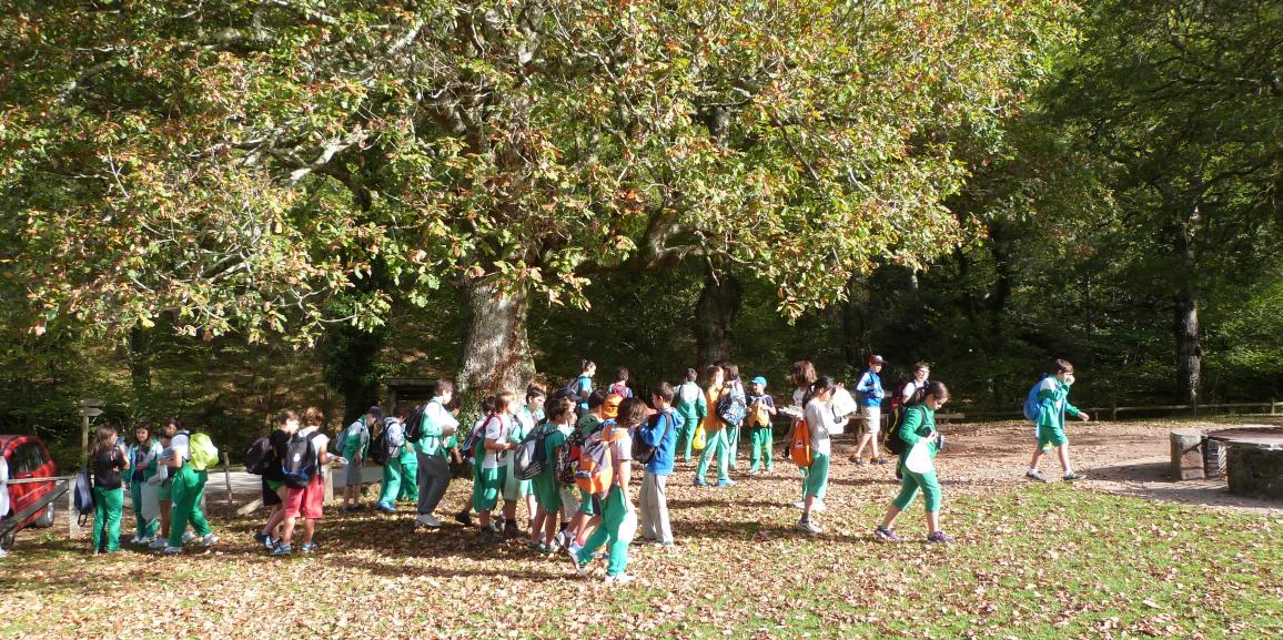 Salida al bosque de Ucieda (5º y 6º)