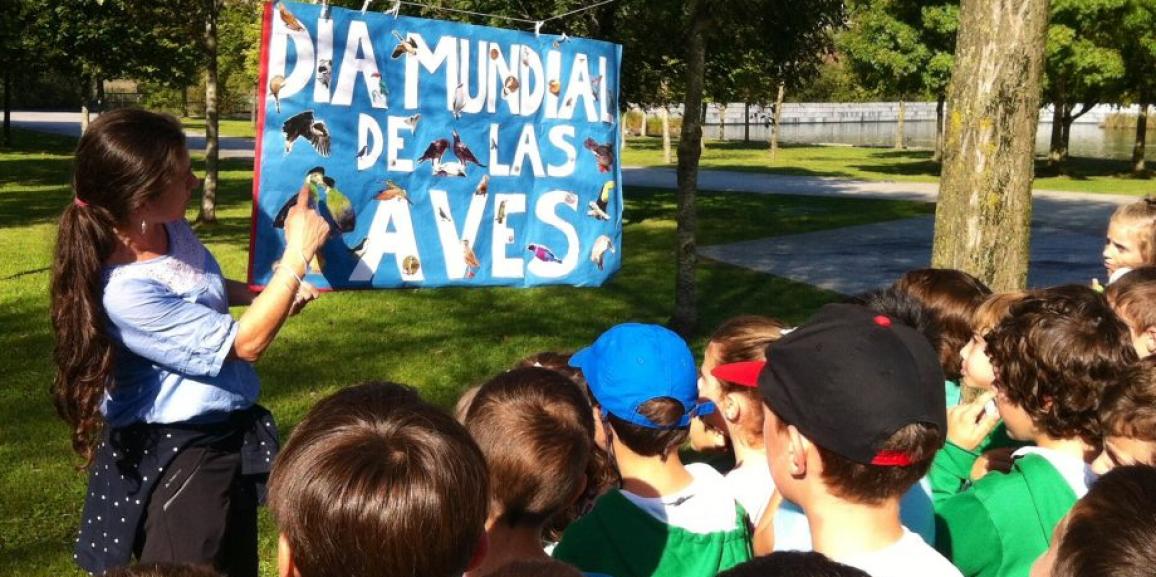 Salida: pájaros, abejas y gatos celebran el día mundial de las Aves