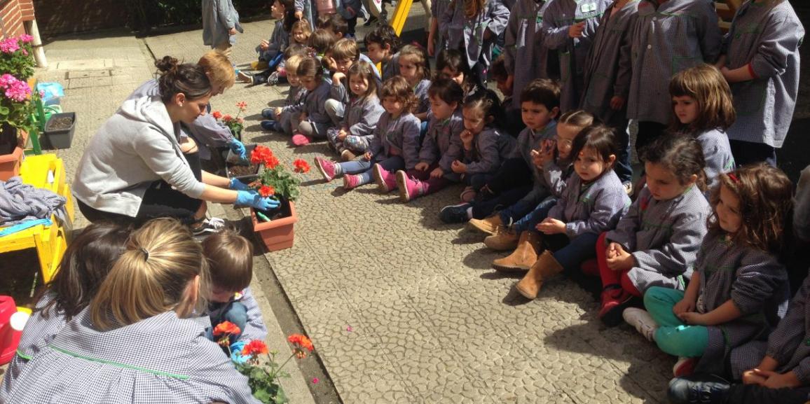 Las plantas