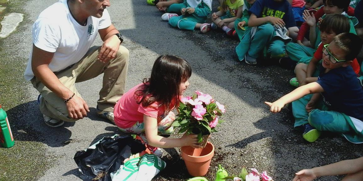 Salida: las plantas