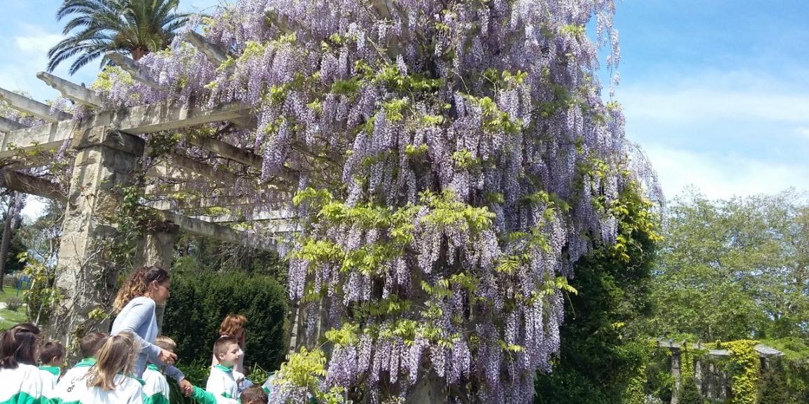 Por fin el miércoles pudimos ver el lilo de Mataleñas lleniiiiito de lilas