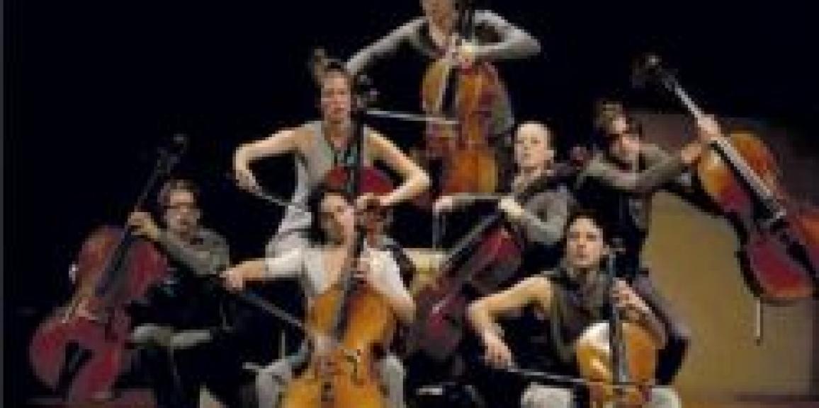 Salida: los gatos vamos a un concierto