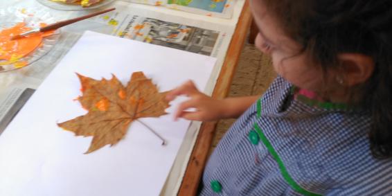Taller de otoño