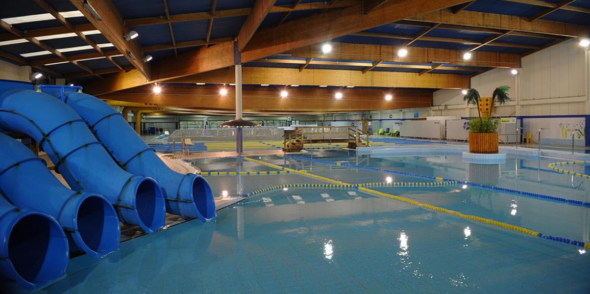 ¡Los gatos y las abejas empezamos el martes a piscina!