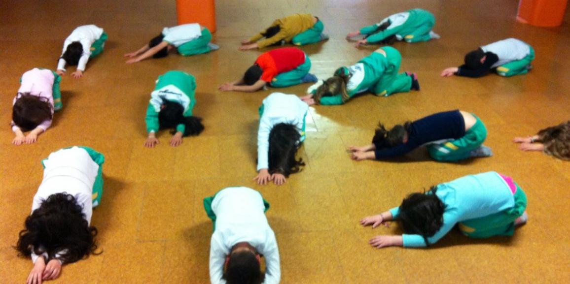 ¡Las abejas y los gatos también hacemos yoga!